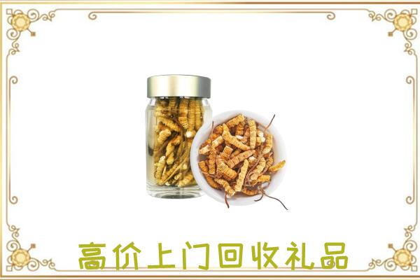湛江周边回收虫草